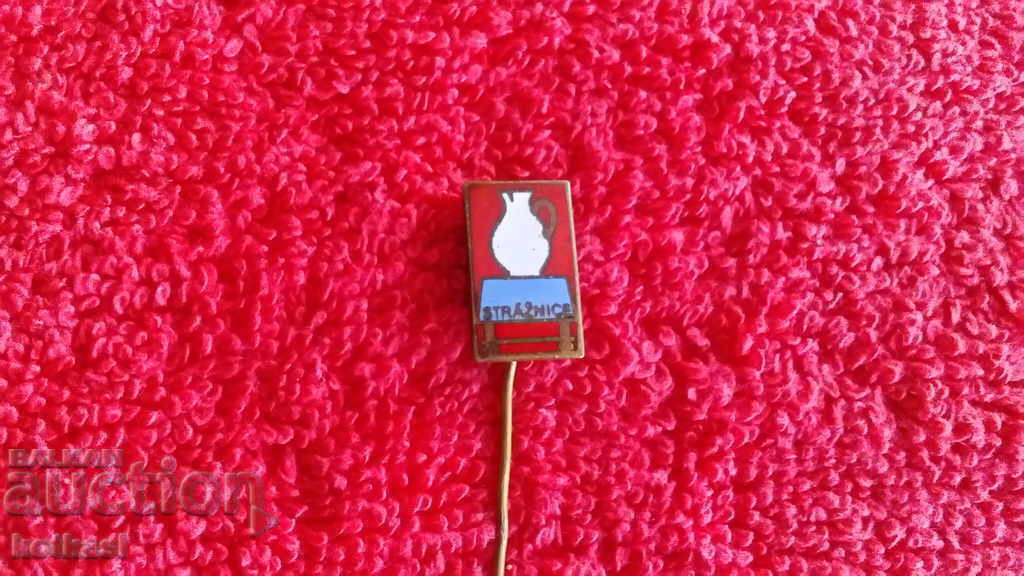 Auction Old metal bronze pin badge STRAZNICE Slovenia Auction Old metal bronze pin badge STRAZNICE Slovenia