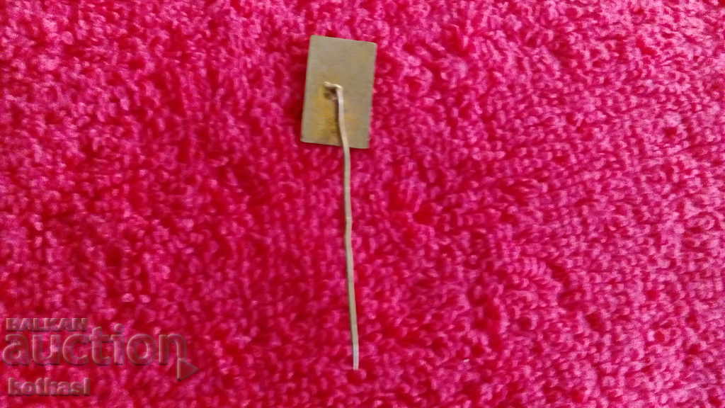 Delivery of Old metal bronze pin badge STRAZNICE Slovenia Delivery of Old metal bronze pin badge STRAZNICE Slovenia