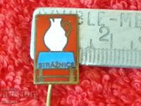 Old metal bronze pin badge STRAZNICE Slovenia