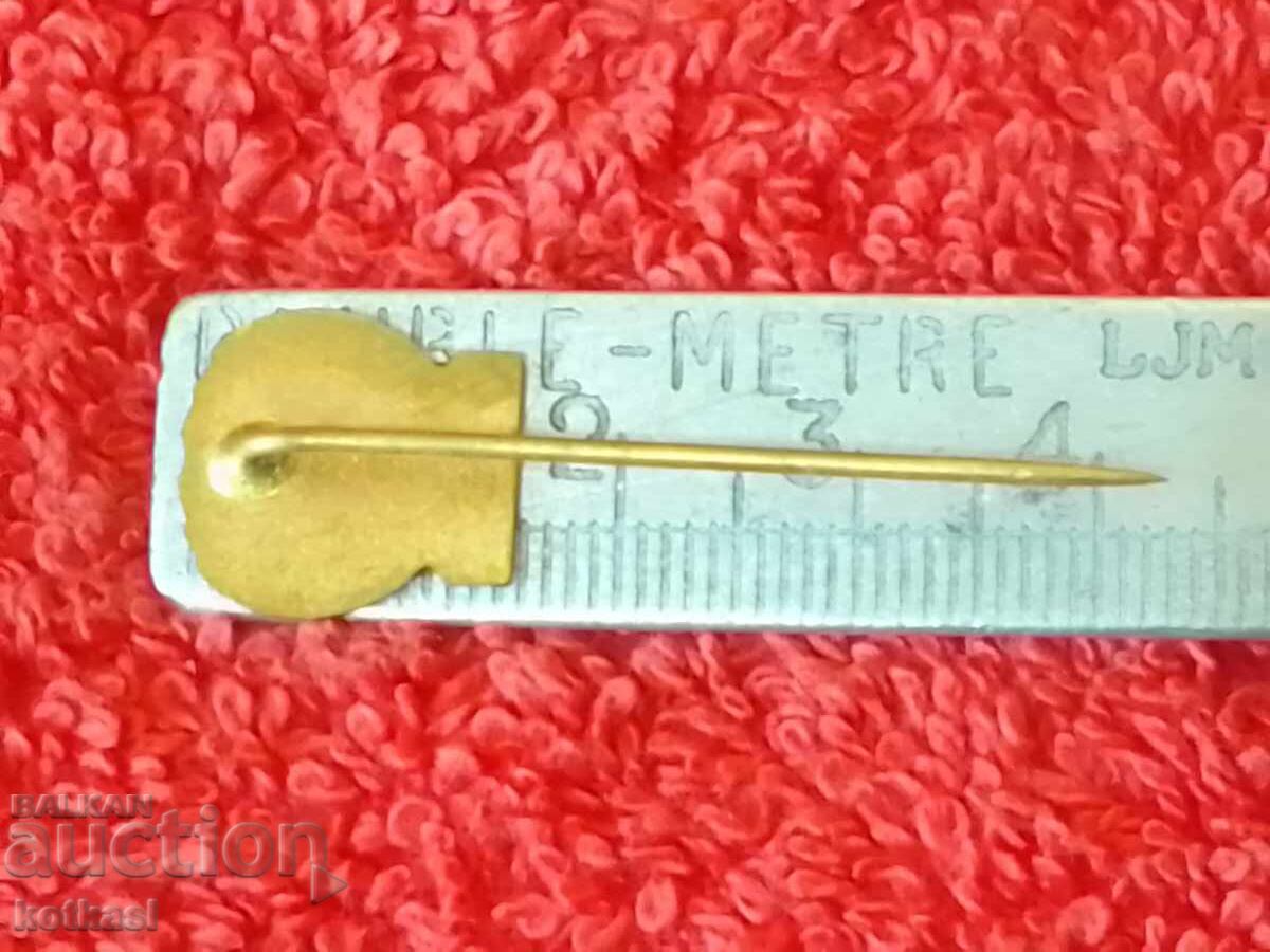 Old solid metal PAL AUTOBRZDY bronze pin badge with price 2.50 BGN | € 1.28 Old solid metal PAL AUTOBRZDY bronze pin badge with price 2.50 BGN | € 1.28