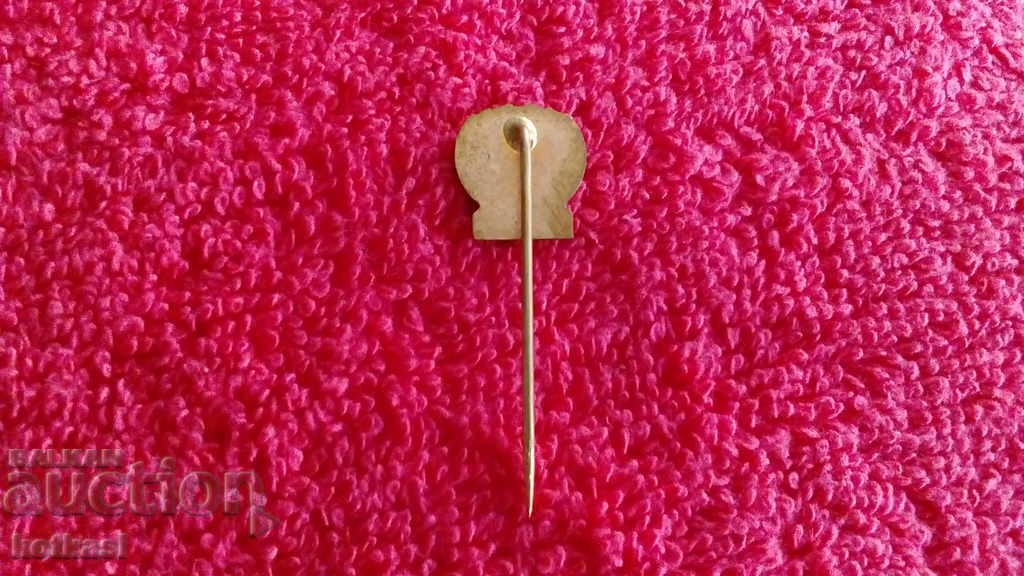 Delivery of Old solid metal PAL AUTOBRZDY bronze pin badge Delivery of Old solid metal PAL AUTOBRZDY bronze pin badge