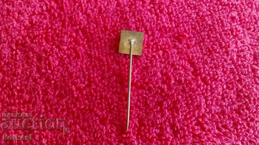 Old metal bronze badge pin - 5 Old metal bronze badge pin - 5