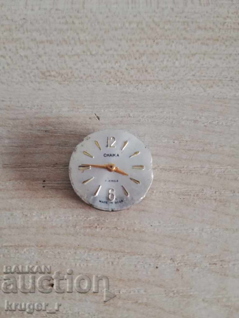 Livrarea Pescăruș Mașină Livrarea Pescăruș Mașină