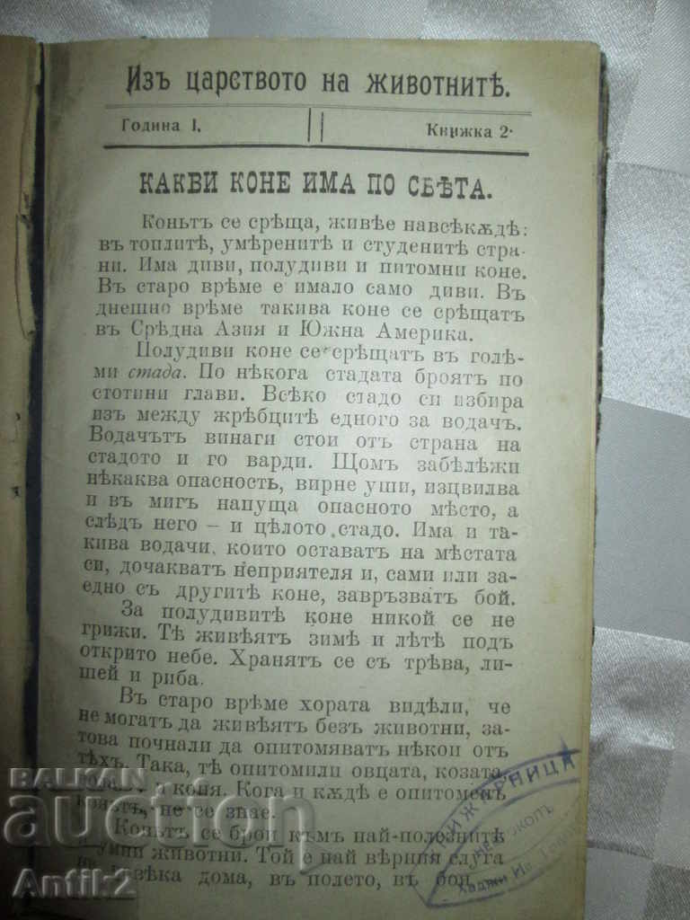 1931g. the book - THE KING MARK - the line - 5 1931g. the book - THE KING MARK - the line - 5