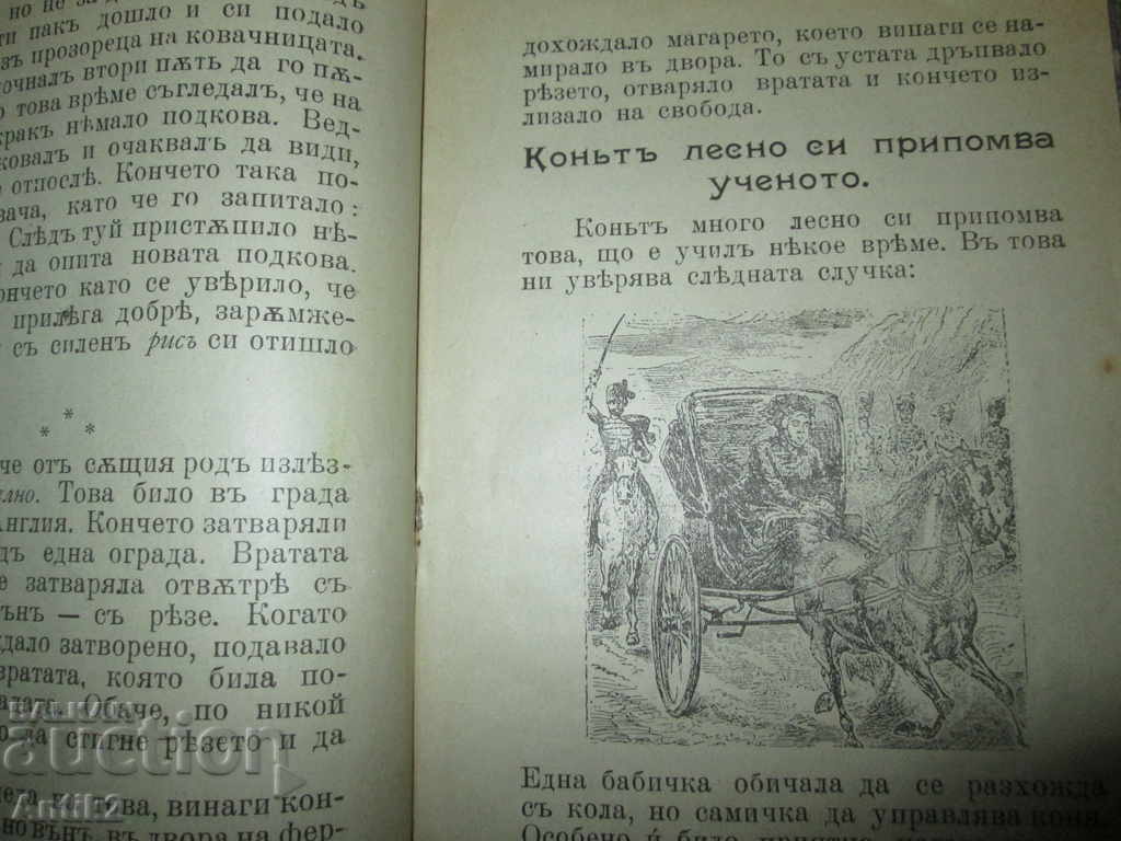 1931g. the book - THE KING MARK - the line - 6 1931g. the book - THE KING MARK - the line - 6