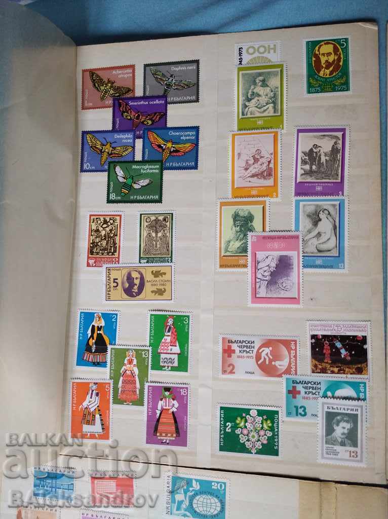 Delivery of Bg. BRANDS Delivery of Bg. BRANDS