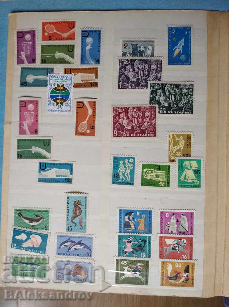 Bg. BRANDS - 6 Bg. BRANDS - 6