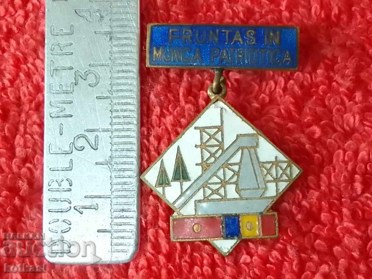 Old social badge carrier enamel First Romania