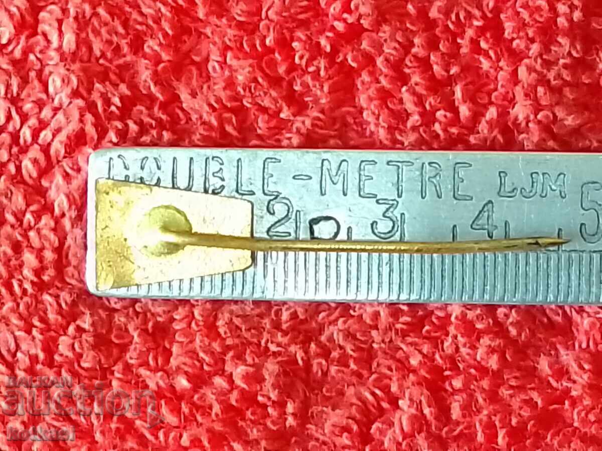 Old solid metal bronze badge pin ZSS TREBiC with price 5.50 BGN | € 2.81 Old solid metal bronze badge pin ZSS TREBiC with price 5.50 BGN | € 2.81