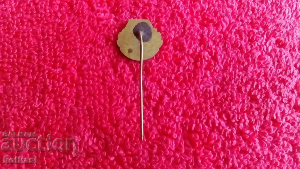 Delivery of Old solid metal bronze pin badge 1877-1903 Delivery of Old solid metal bronze pin badge 1877-1903