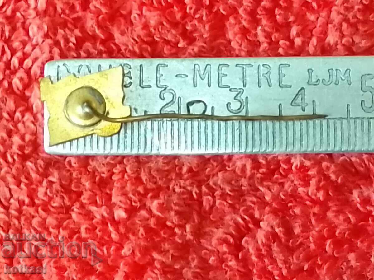 Old metal bronze pin badge Poland ZSP with price 5.50 BGN | € 2.81 Old metal bronze pin badge Poland ZSP with price 5.50 BGN | € 2.81