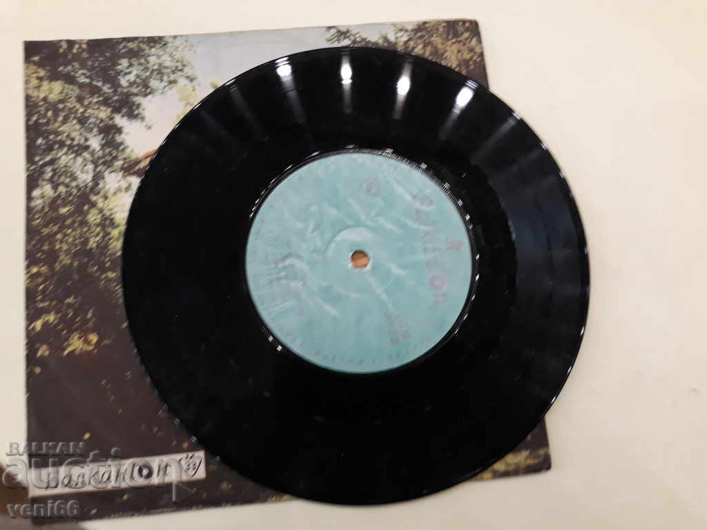 Auction VTM 5992 Jennifer Auction VTM 5992 Jennifer