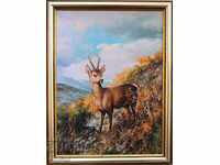 Roe deer, picture for hunters