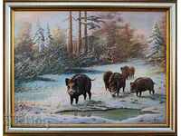 Wild boars, winter, landscape, picture for hunters