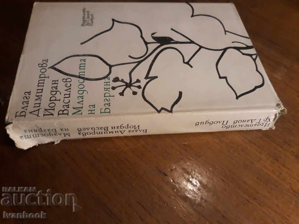 B. Dimitrova Y. Vasilev - The youth of Bagriana and her .... with price 3.00 BGN | € 1.53 B. Dimitrova Y. Vasilev - The youth of Bagriana and her .... with price 3.00 BGN | € 1.53