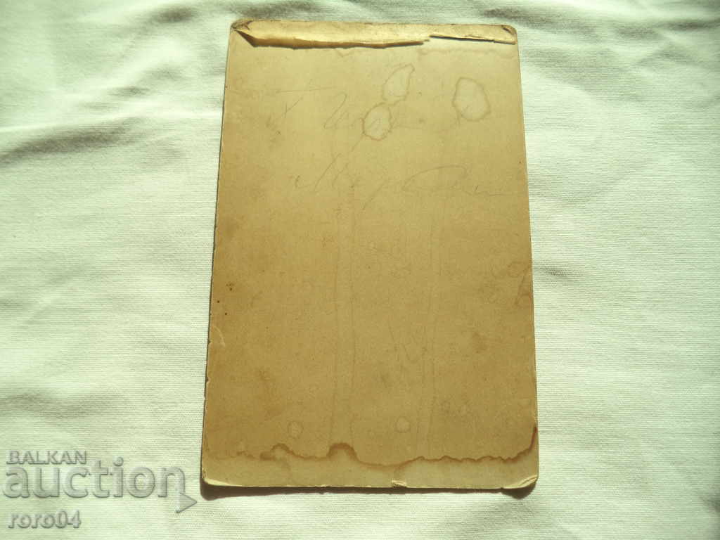 Delivery of C. VELEBNI - PLOVDIV Delivery of C. VELEBNI - PLOVDIV