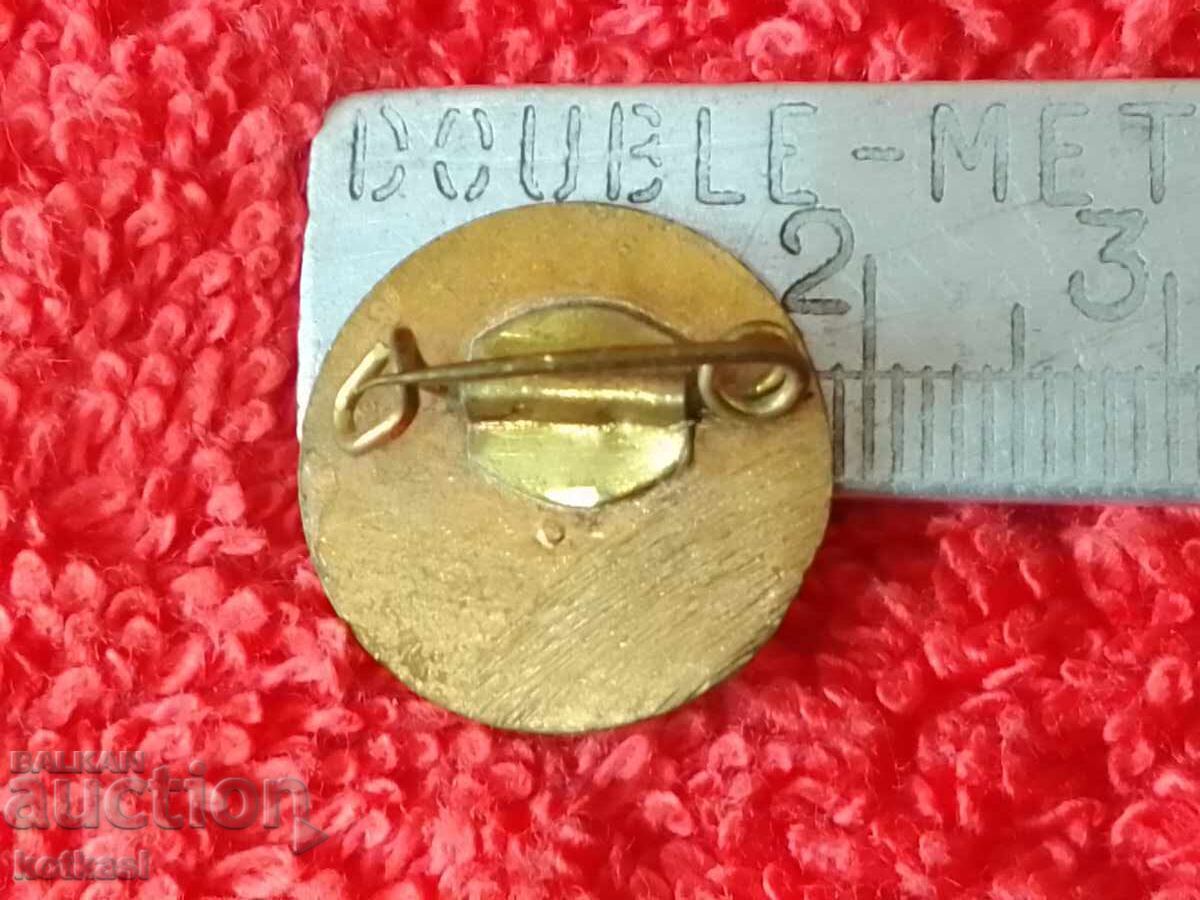 Old solid metal bronze badge coat of arms Germany GDR DDR with price 21.00 BGN | € 10.74 Old solid metal bronze badge coat of arms Germany GDR DDR with price 21.00 BGN | € 10.74