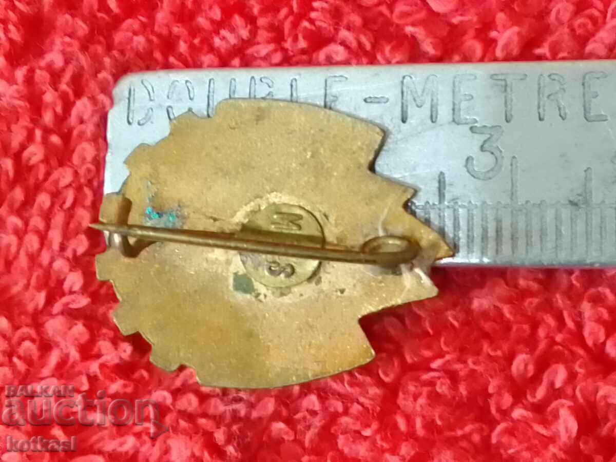 Old bronze badge Romania pioneer union enamel with price 5.50 BGN | € 2.81