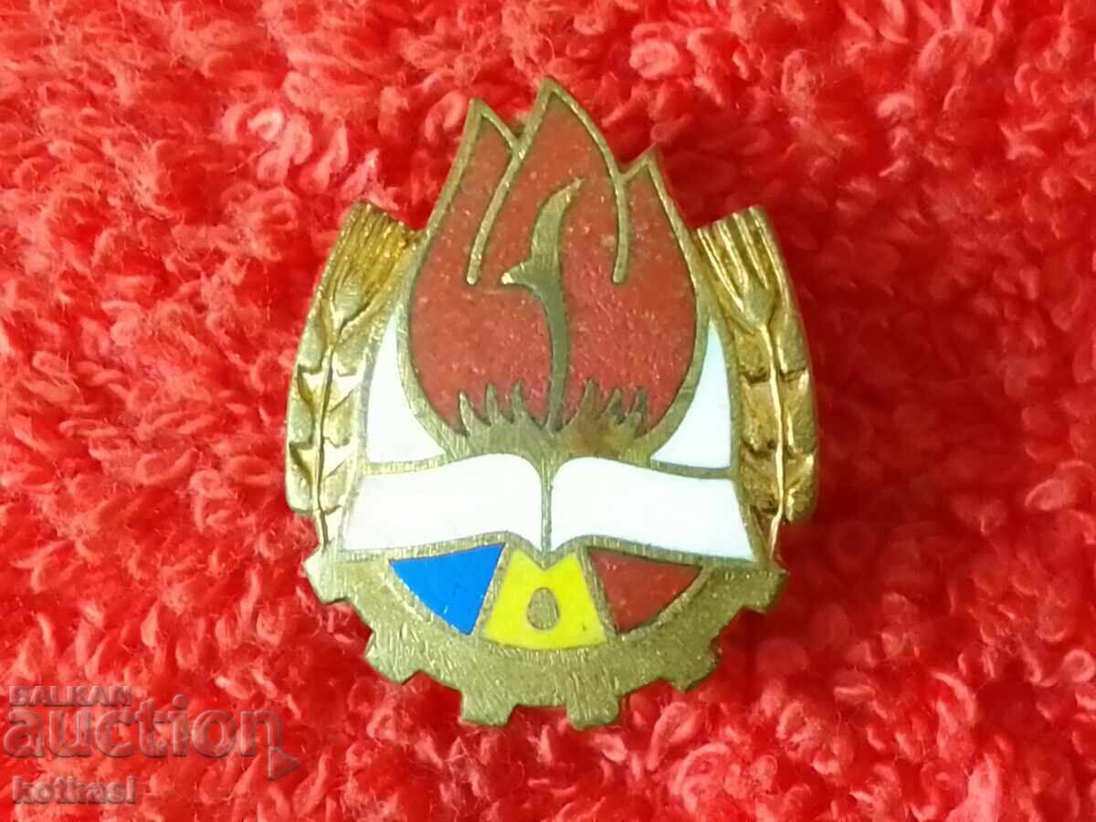 Auction  Old bronze badge Romania pioneer union enamel