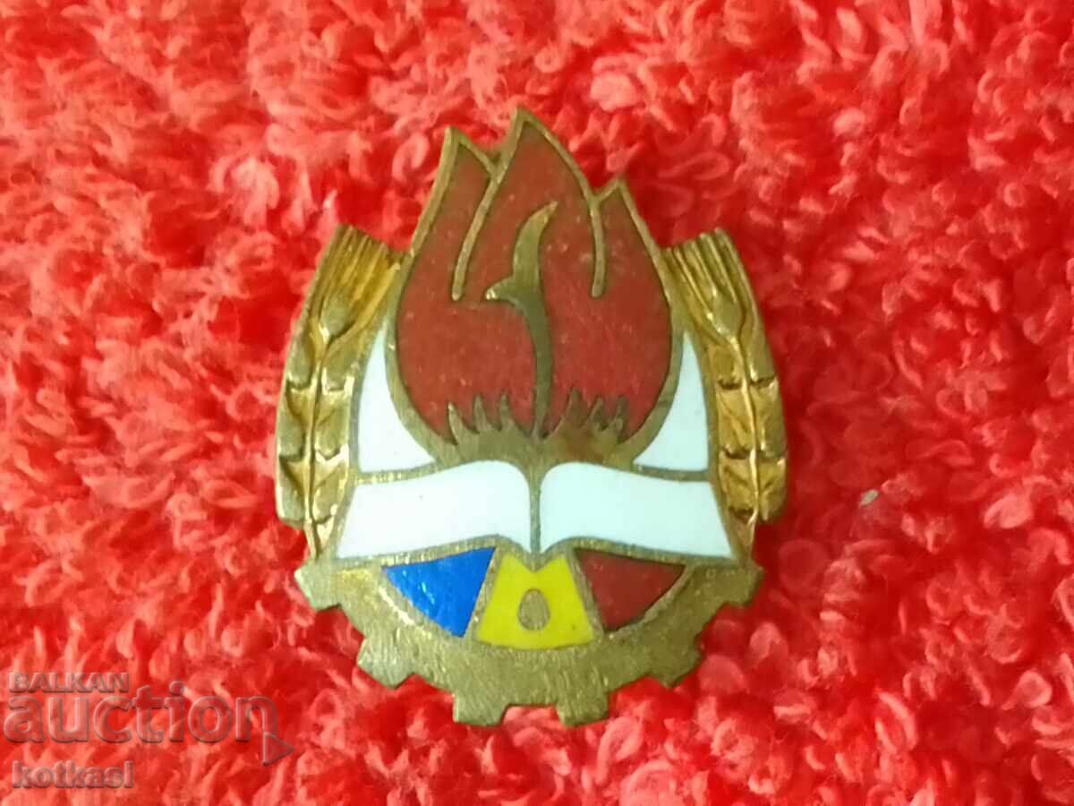 Delivery of Old bronze badge Romania pioneer union enamel