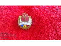 Old bronze badge Romania pioneer union enamel