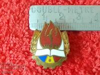 Old bronze badge Romania pioneer union enamel