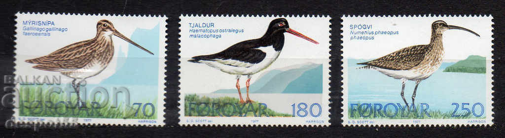1977. Faroe Islands. Bird Life.