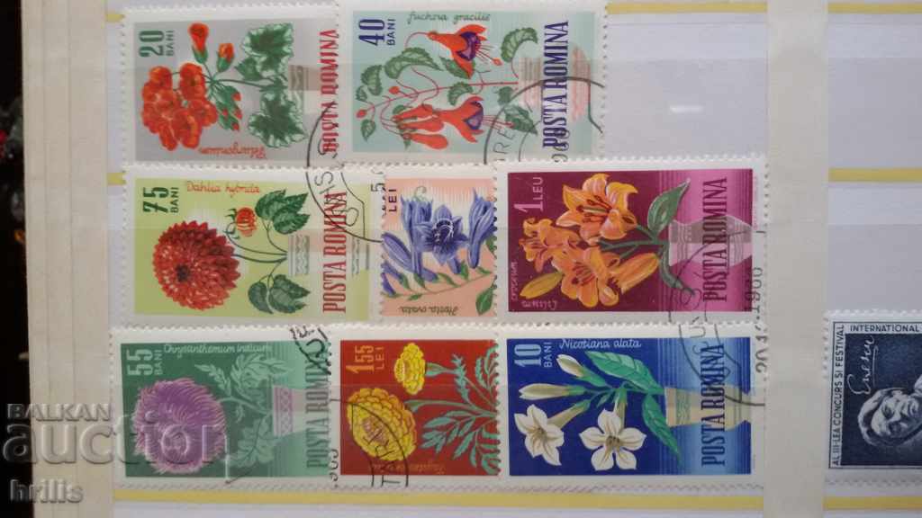 ROMANIA 1966 - FLORA, GARDEN FLOWERS with price 1.10 BGN | € 0.56