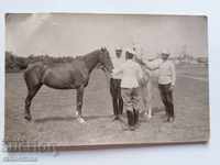 An old photo of Sofia Alexander Nevsky horse