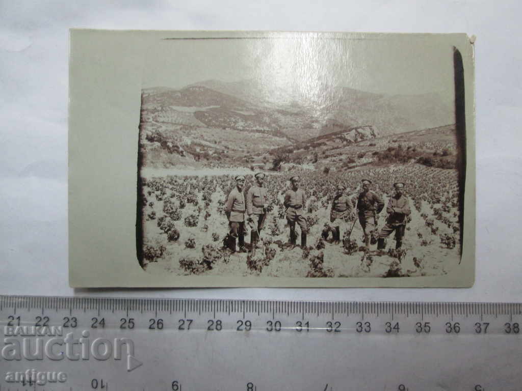 OLD PHOTO 1 WWI MILITARY with price 10.00 BGN | € 5.11 OLD PHOTO 1 WWI MILITARY with price 10.00 BGN | € 5.11