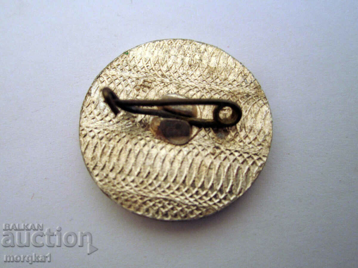 Esperanto badge, Esperanto with price 4.50 BGN | € 2.30 Esperanto badge, Esperanto with price 4.50 BGN | € 2.30