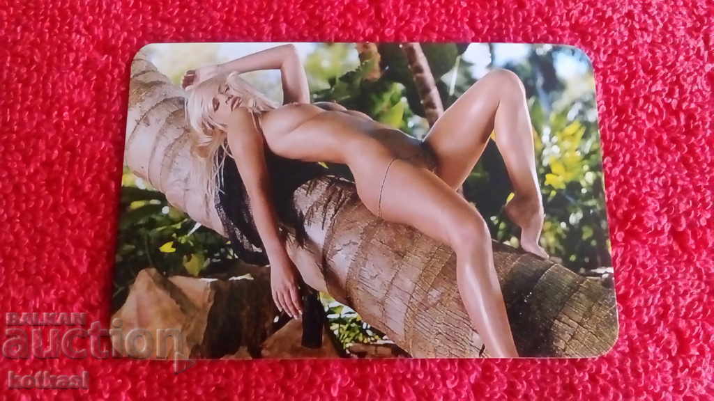 Старо еротично календарче от 2004 г.