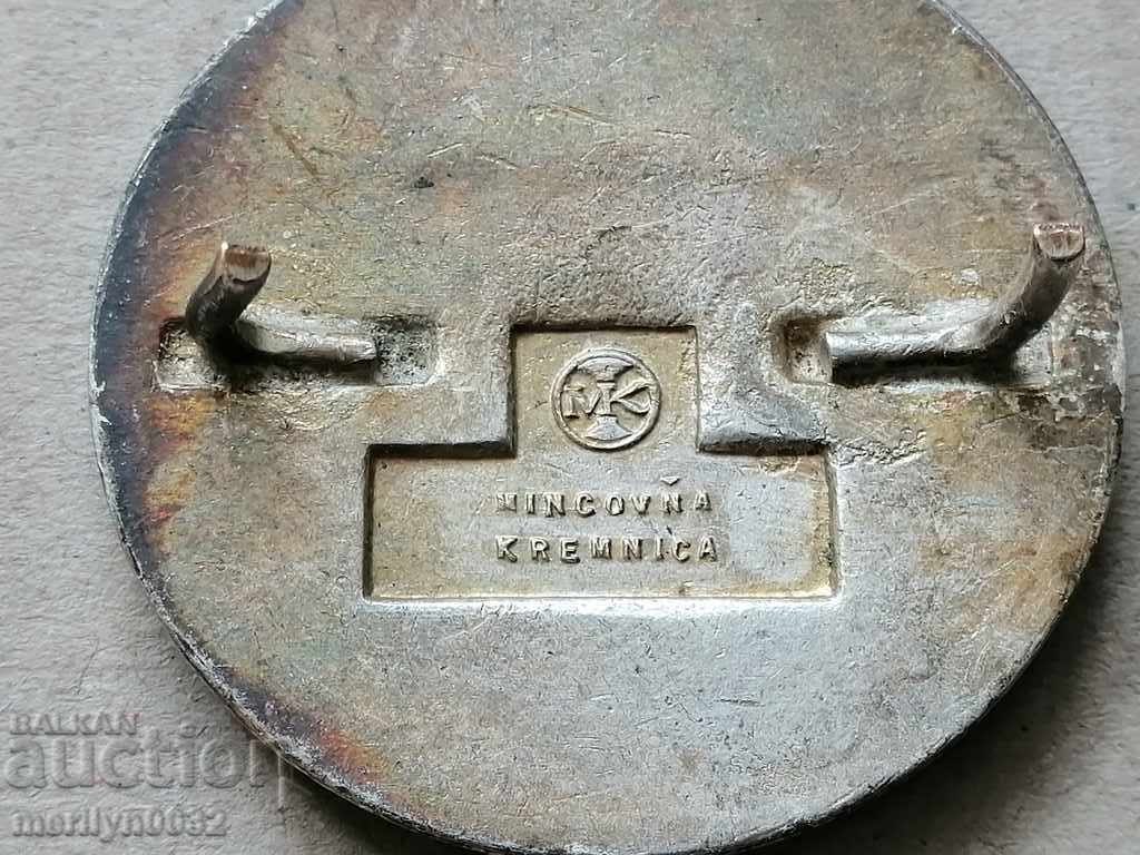 Delivery of Car logo Skoda enamel car truck Delivery of Car logo Skoda enamel car truck