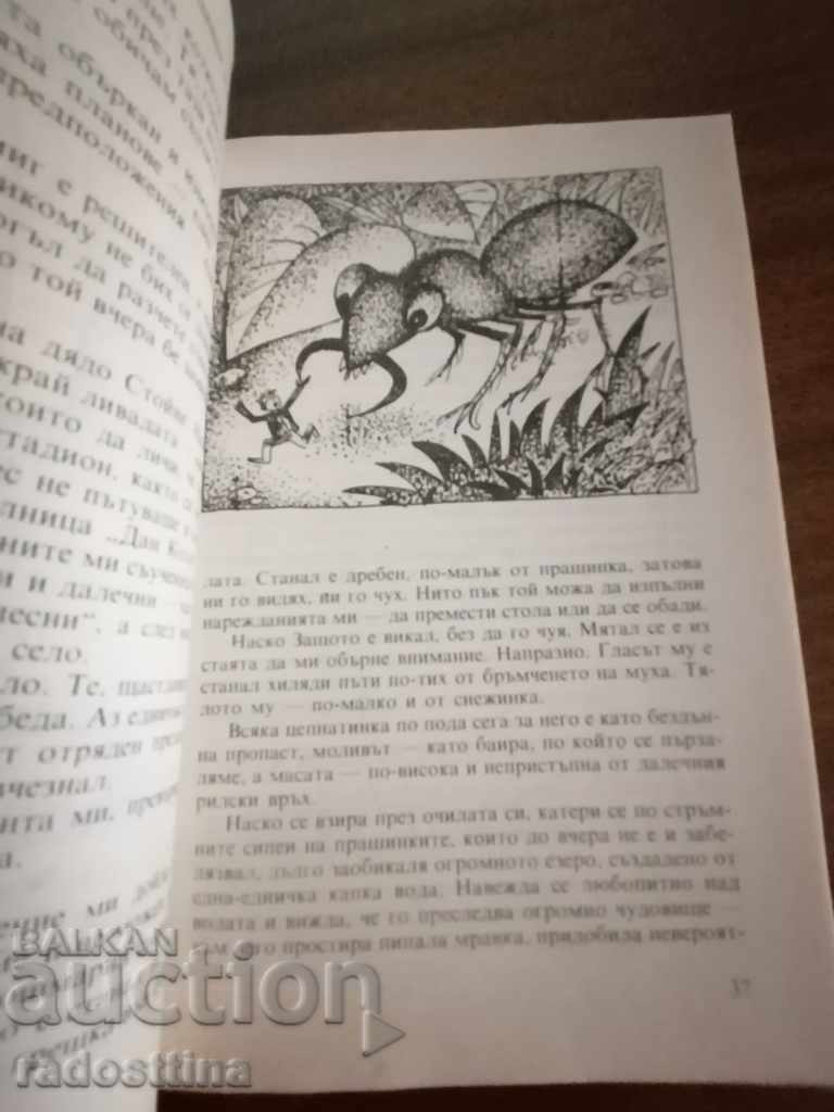 Nasko Children's Book Because Georgi Strumski - 6 Nasko Children's Book Because Georgi Strumski - 6