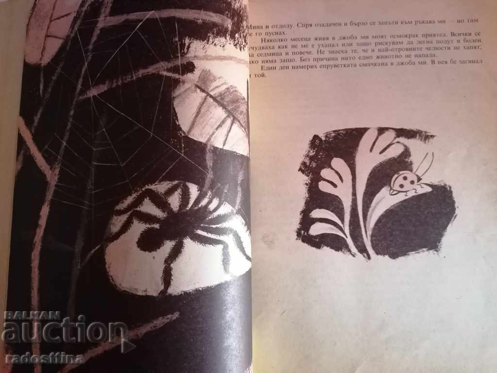 Auction Nursery and wildlife meeting book Auction Nursery and wildlife meeting book