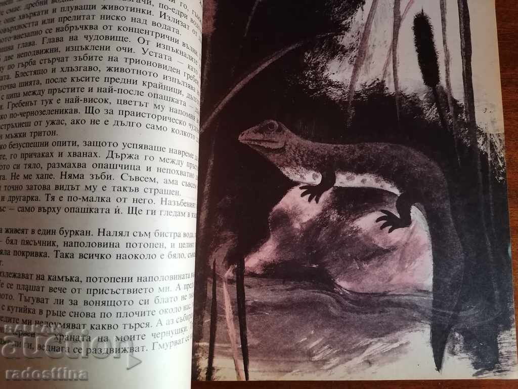 Nursery and wildlife meeting book - 5 Nursery and wildlife meeting book - 5