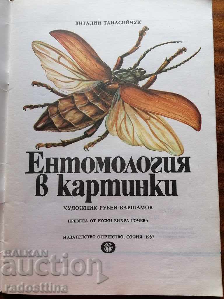 Entomology children's book in pictures by V. Tanasiychuk with price 10.00 BGN | € 5.11