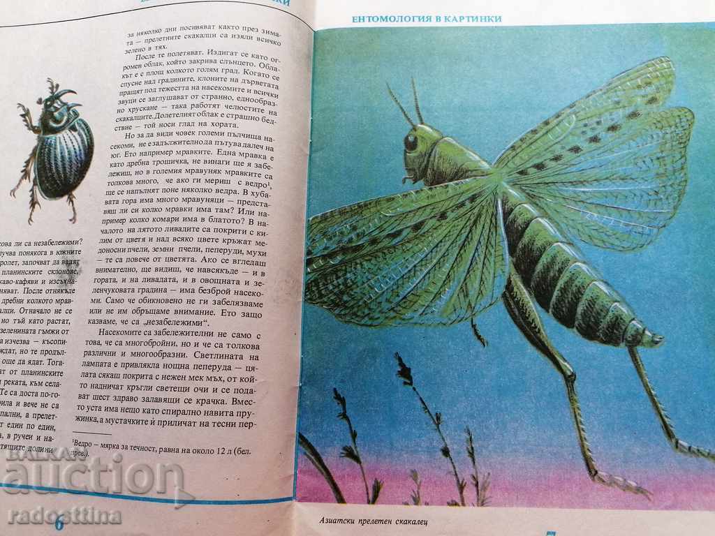 Auction  Entomology children's book in pictures by V. Tanasiychuk