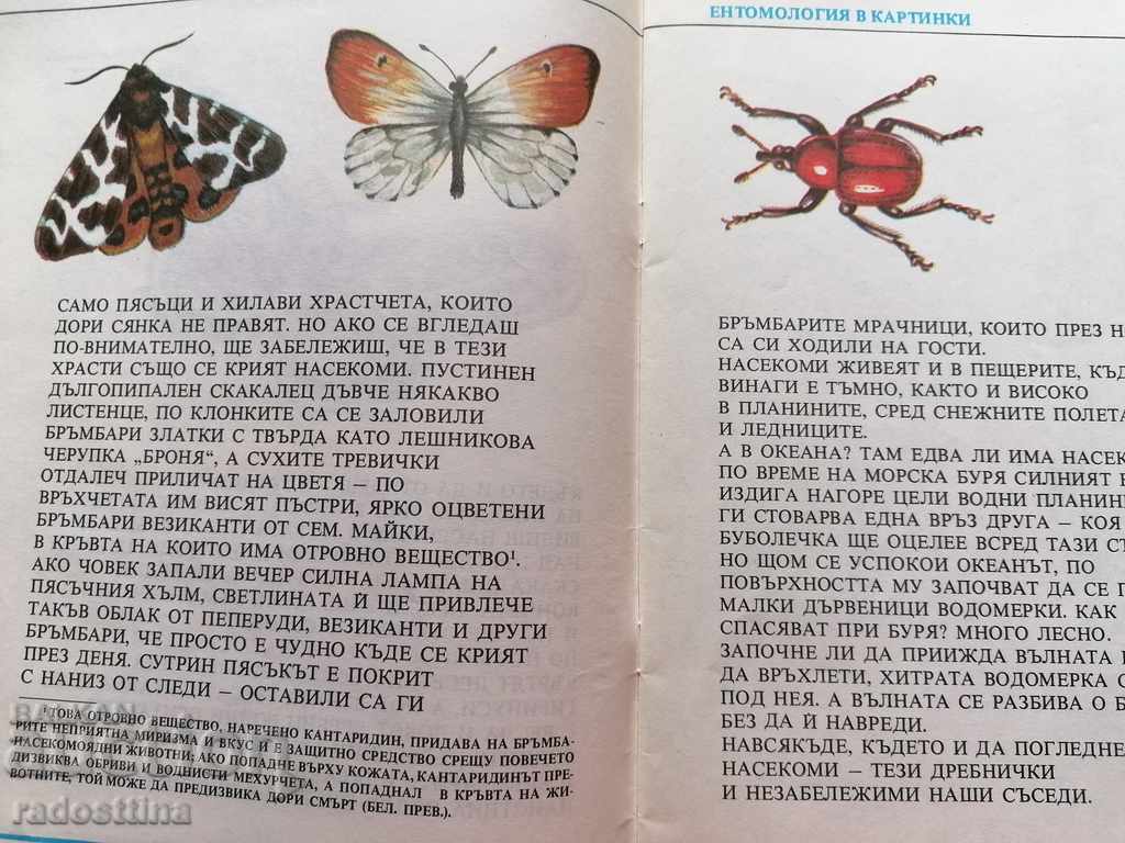 Delivery of Entomology children's book in pictures by V. Tanasiychuk