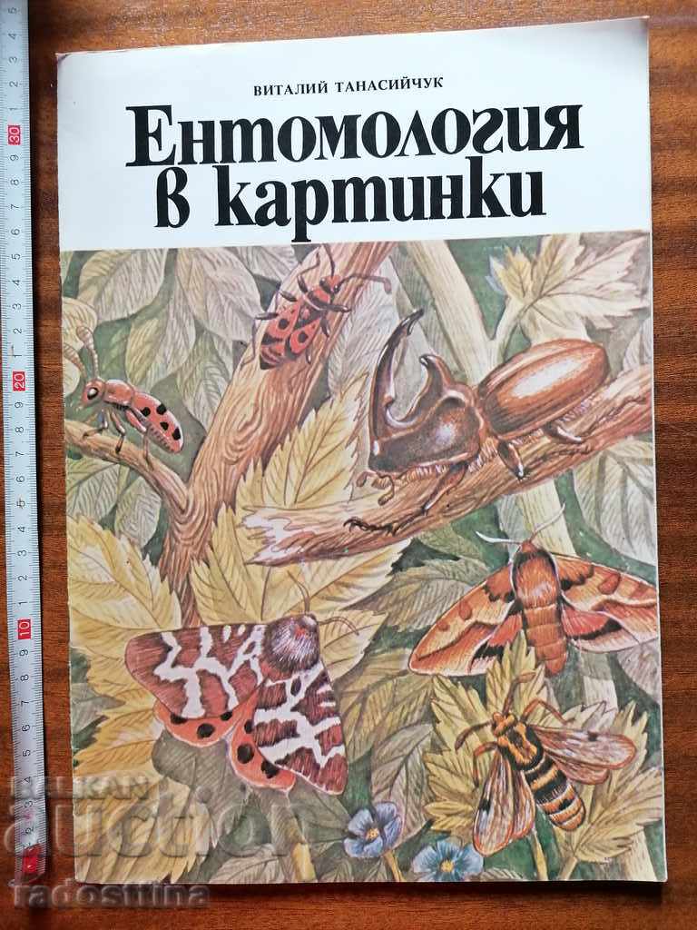 Детска книжка Ентомология в картинки В. Танасийчук