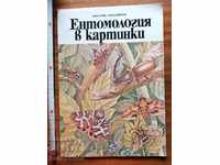 Cartea pentru copii cu entomologie în imagini de V. Tanasiychuk
