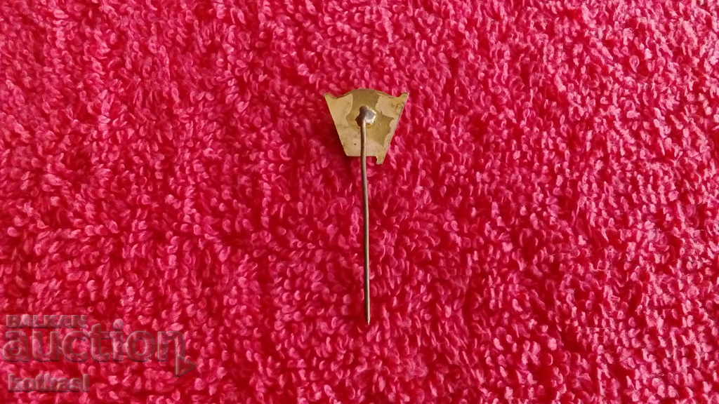 Delivery of Old social bronze pin badge enamel Georgi Dimitrov quality