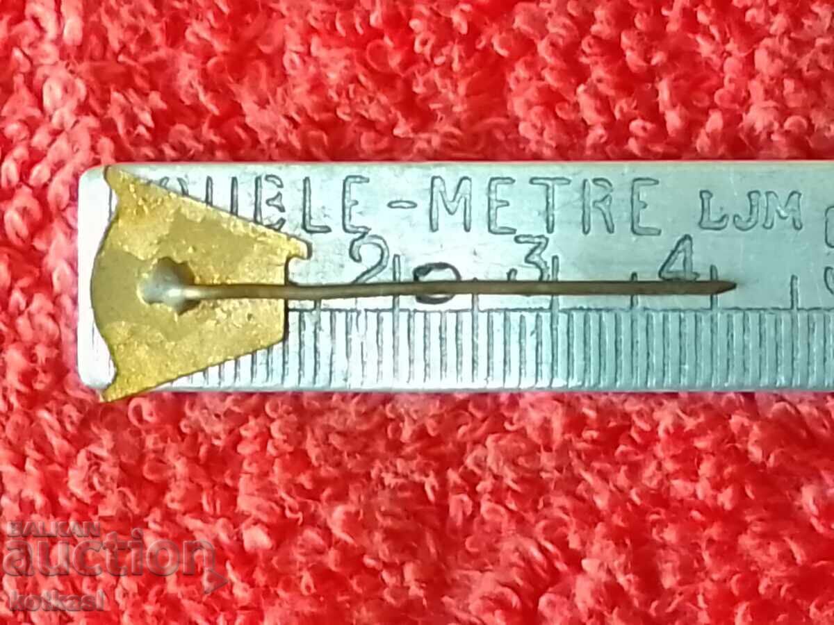 Стара соц бронз игла значка емайл Георги Димитров качество - 5