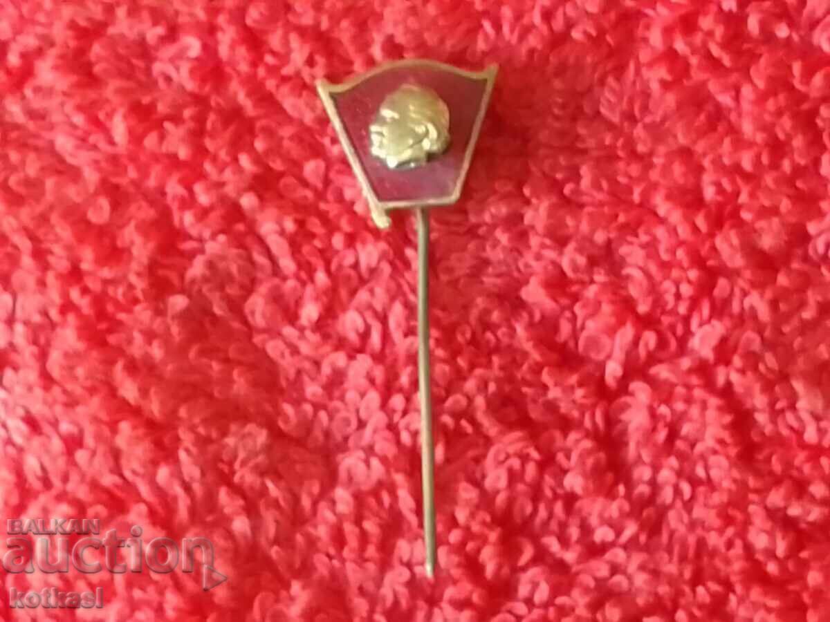 Old social bronze pin badge enamel Georgi Dimitrov quality - 6