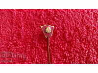 Old social metal bronze pin badge enamel Georgi Dimitrov