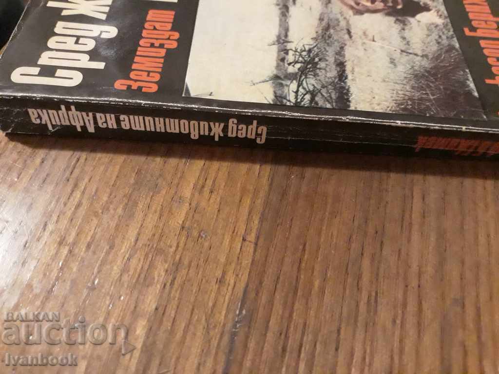 Auction Among the animals of Africa - Bernhard Gimek Auction Among the animals of Africa - Bernhard Gimek