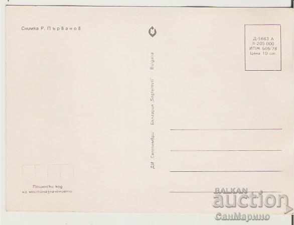 Card Bulgaria Edelweiss * with price 0.70 BGN | € 0.36 Card Bulgaria Edelweiss * with price 0.70 BGN | € 0.36