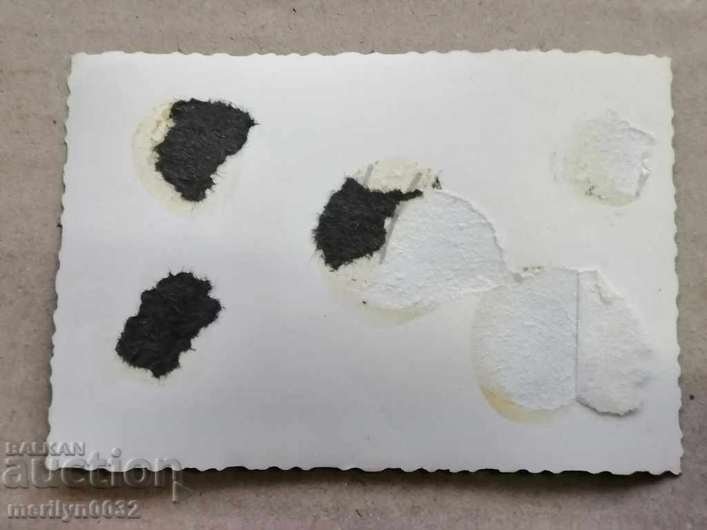 Auction Photo paper photography motorist 50s Auction Photo paper photography motorist 50s