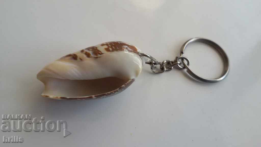 ΚΛΕΙΔΟΘΗΚΗ EXOTIC RAPPEN SNAIL με τιμή 3.50 BGN | € 1.79 ΚΛΕΙΔΟΘΗΚΗ EXOTIC RAPPEN SNAIL με τιμή 3.50 BGN | € 1.79