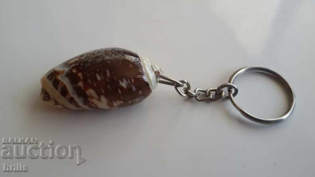 Δημοπρασία ΚΛΕΙΔΟΘΗΚΗ EXOTIC RAPPEN SNAIL Δημοπρασία ΚΛΕΙΔΟΘΗΚΗ EXOTIC RAPPEN SNAIL